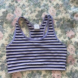 Vintage Danskin Purple and Black Striped sport bra